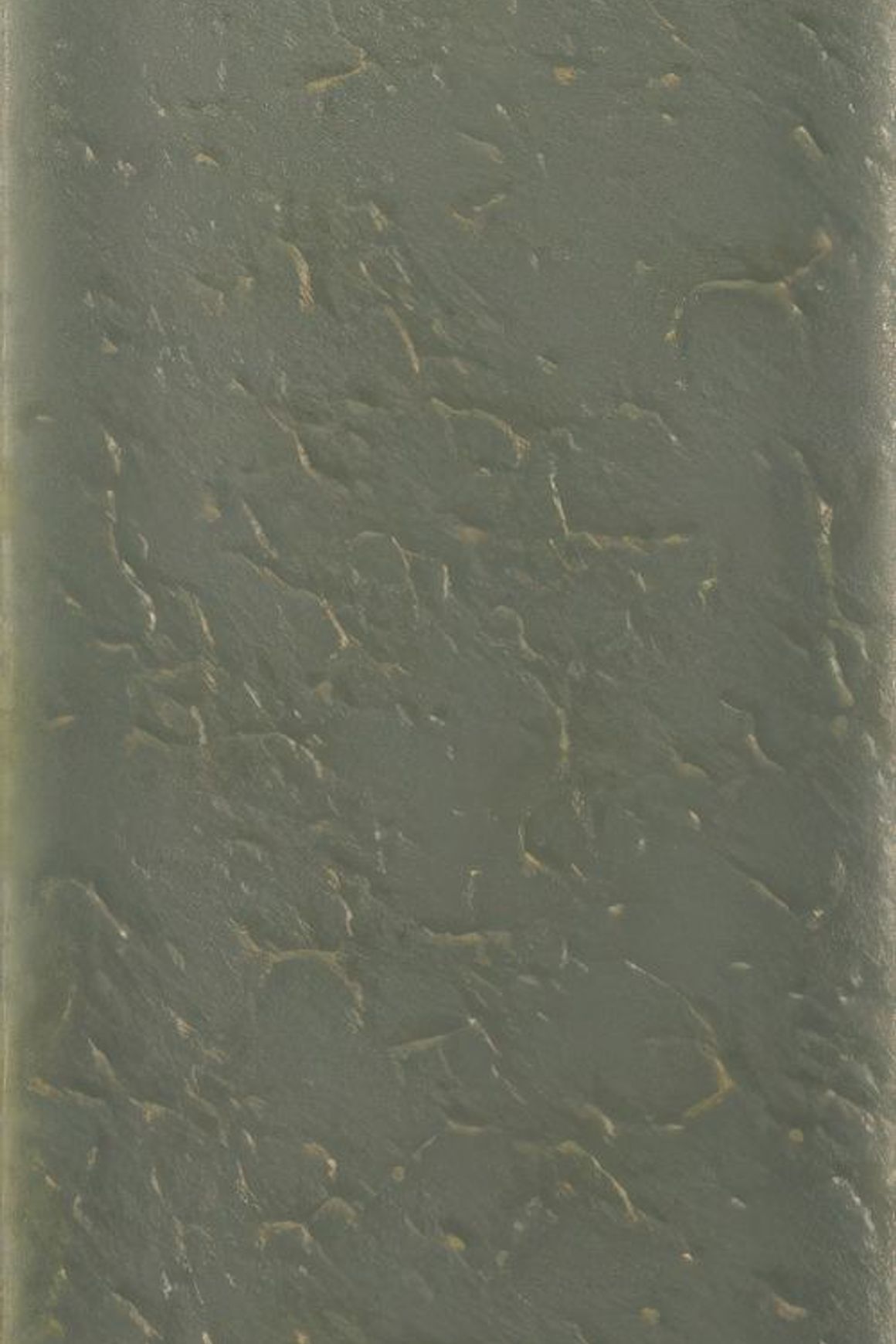 Skin Wall Tiles