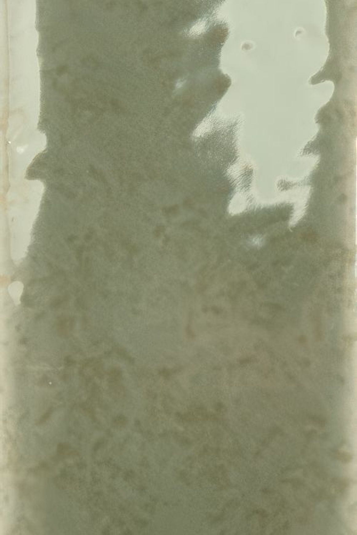 Skin Wall Tiles