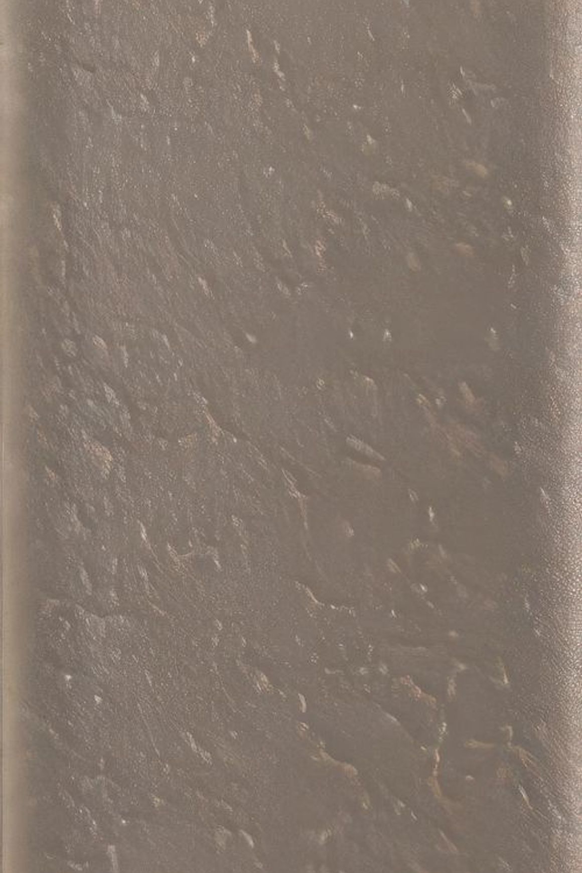 Skin Wall Tiles