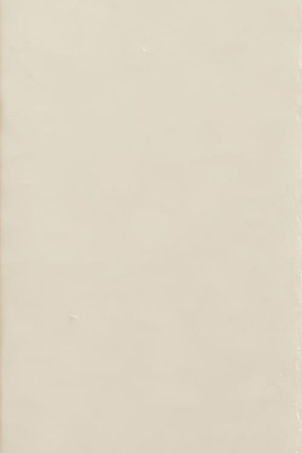 Skin Wall Tiles