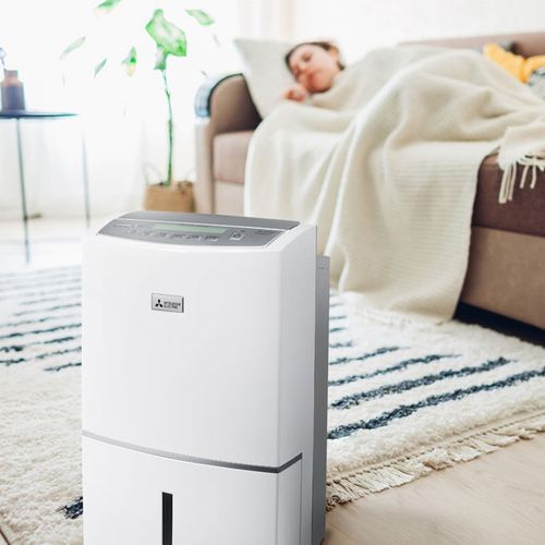 Oasis Pure 38L Dehumidifier