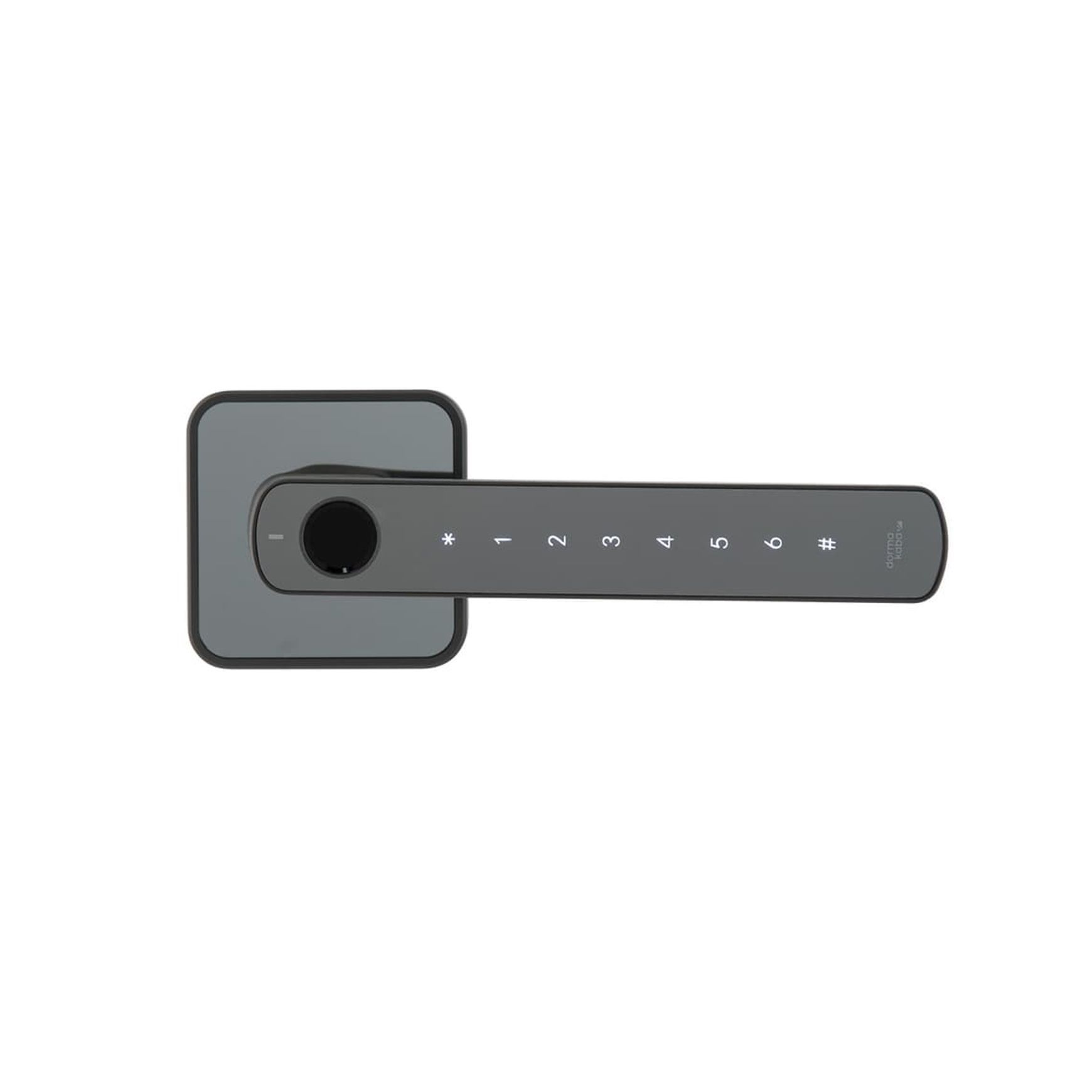 Rosé Biometric Digital Lever