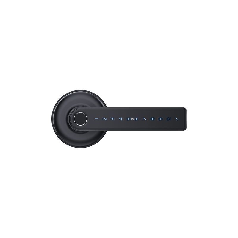 Schlage Ascent Series Smart Lever