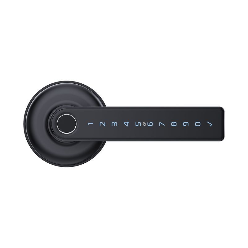 Schlage Ascent Series Smart Lever