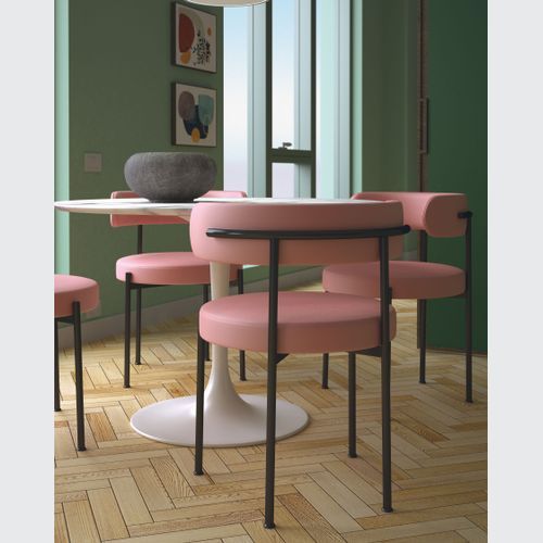 Giotto Dining Chair