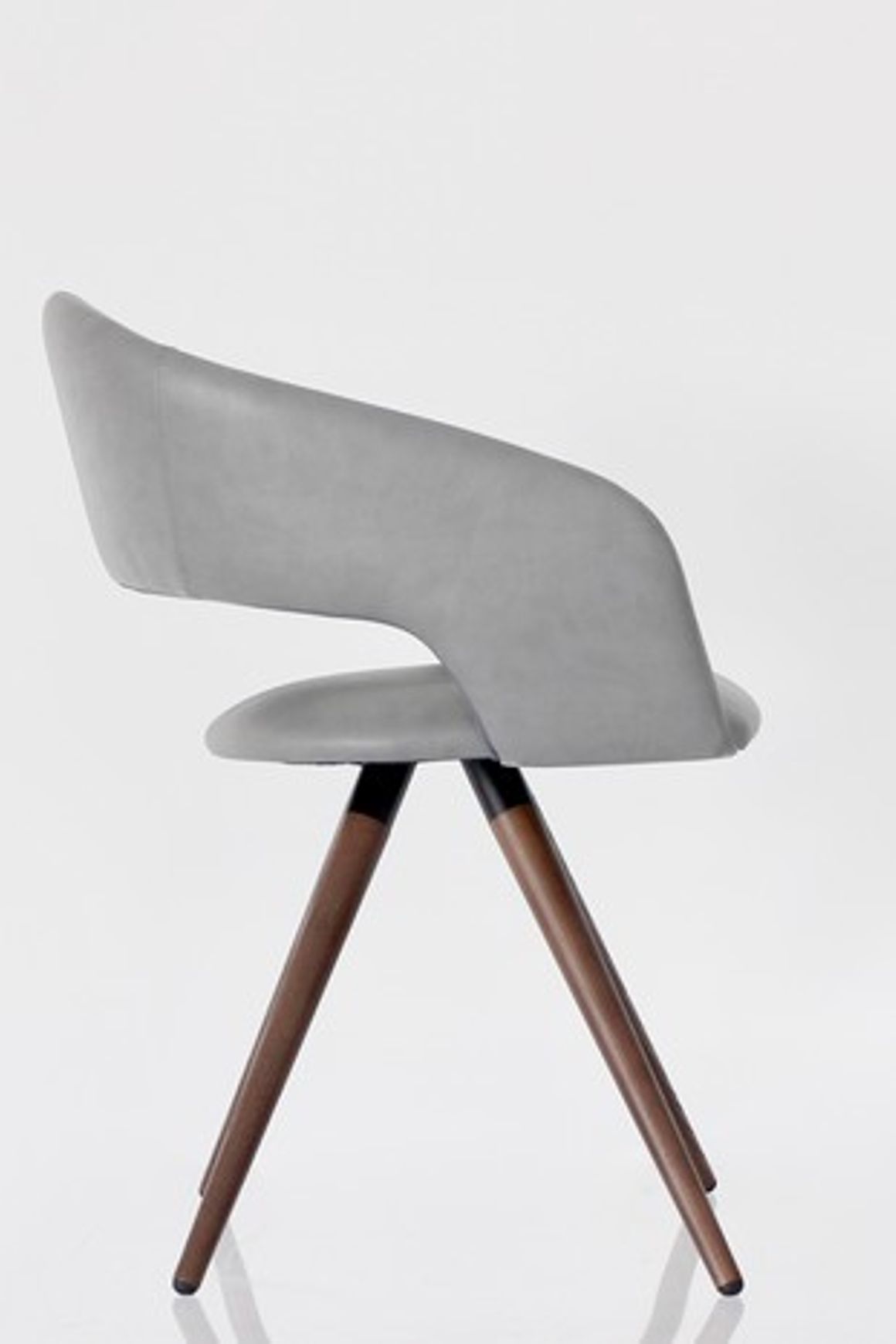 Arena Dining Chair