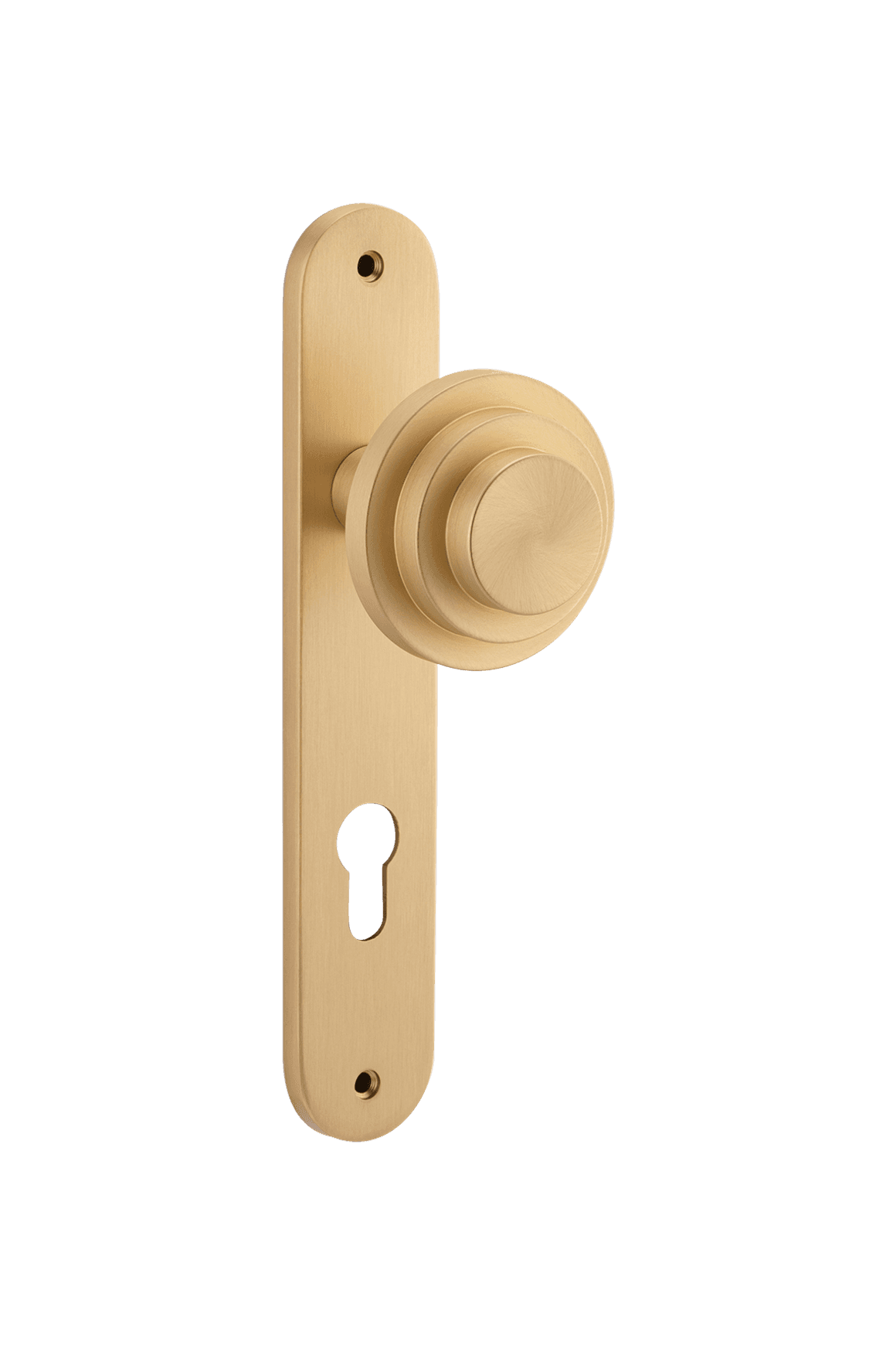 Zzzigurat Knob - Oval Backplate