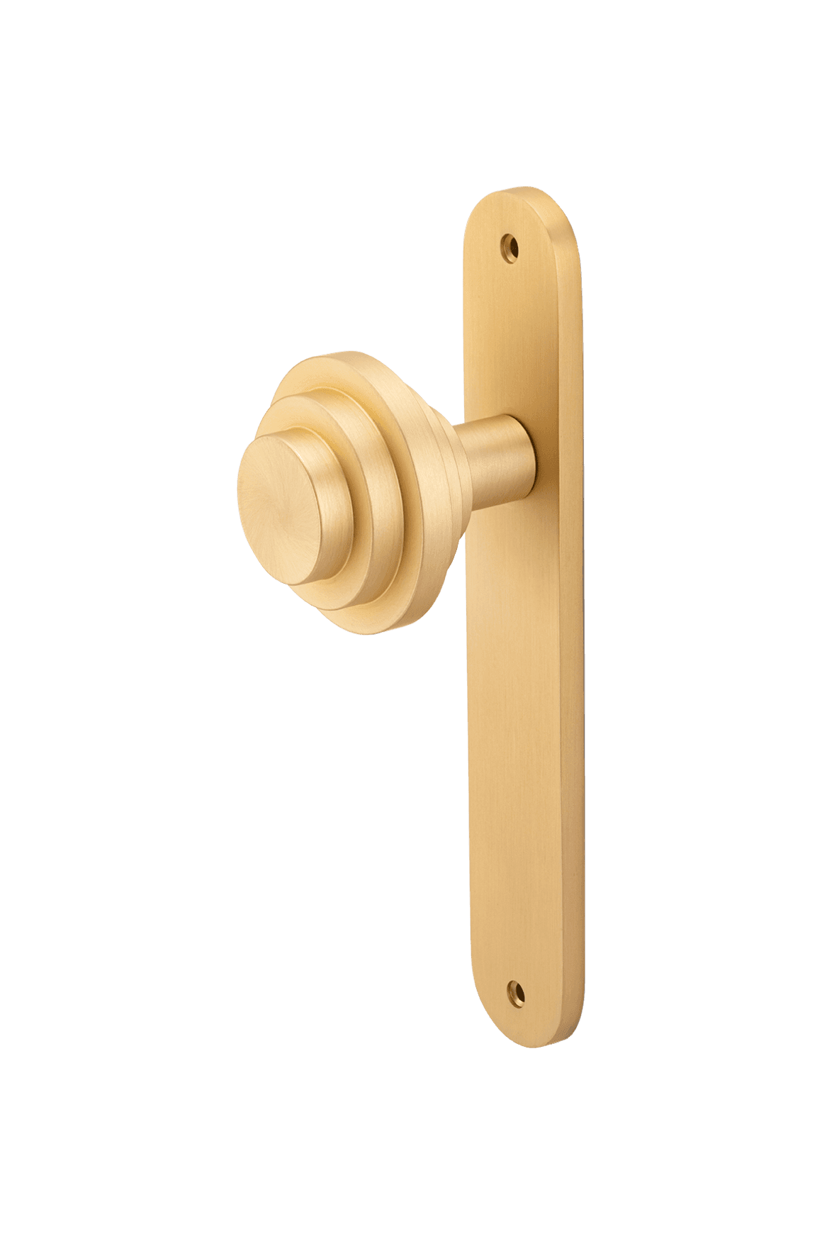 Zzzigurat Knob - Oval Backplate
