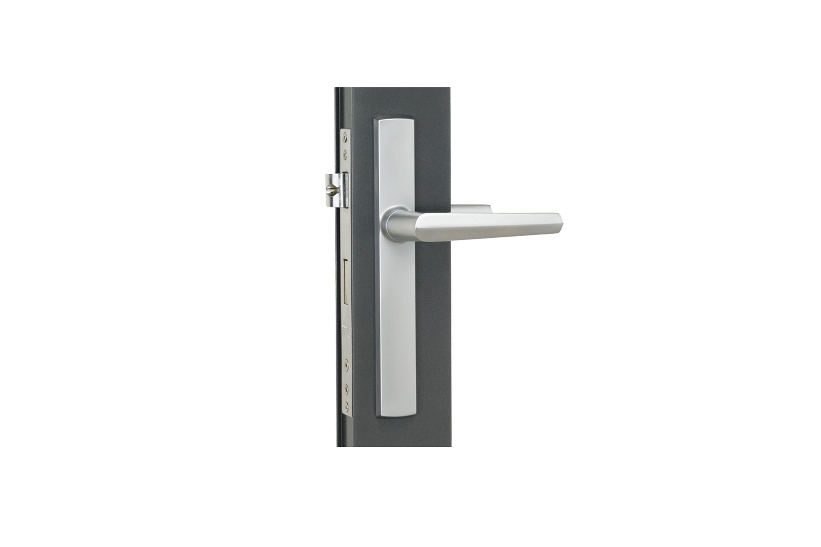 Aria Hinged Door Handle