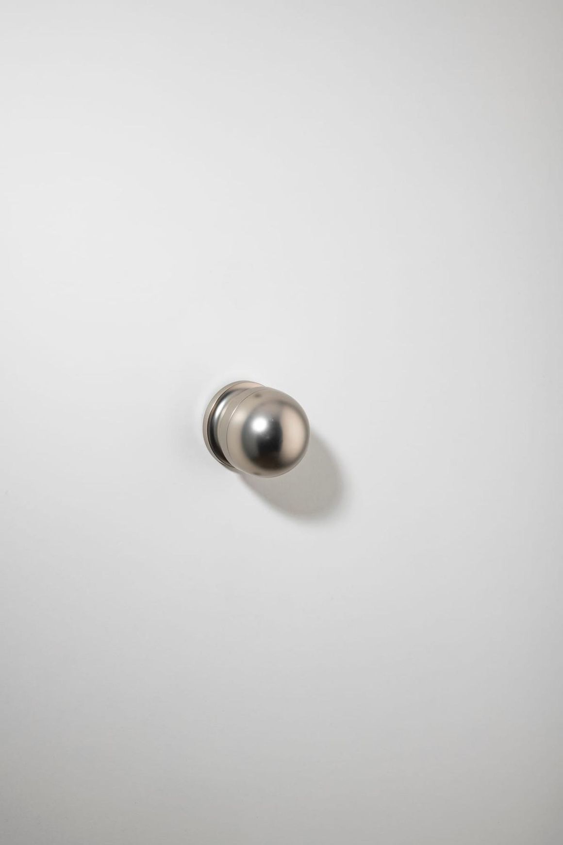 H02 Knob on Rose