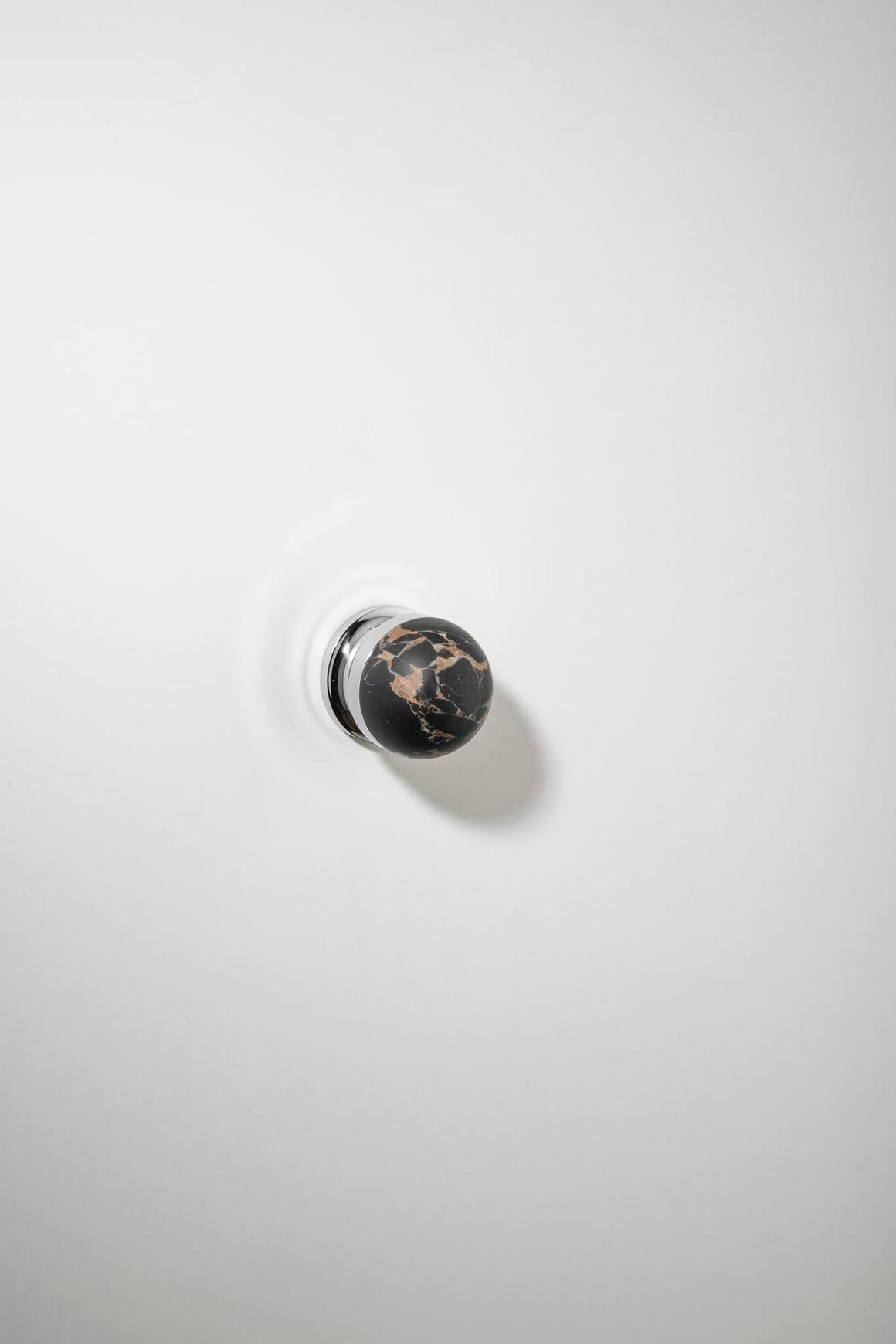 H02 Knob on Rose
