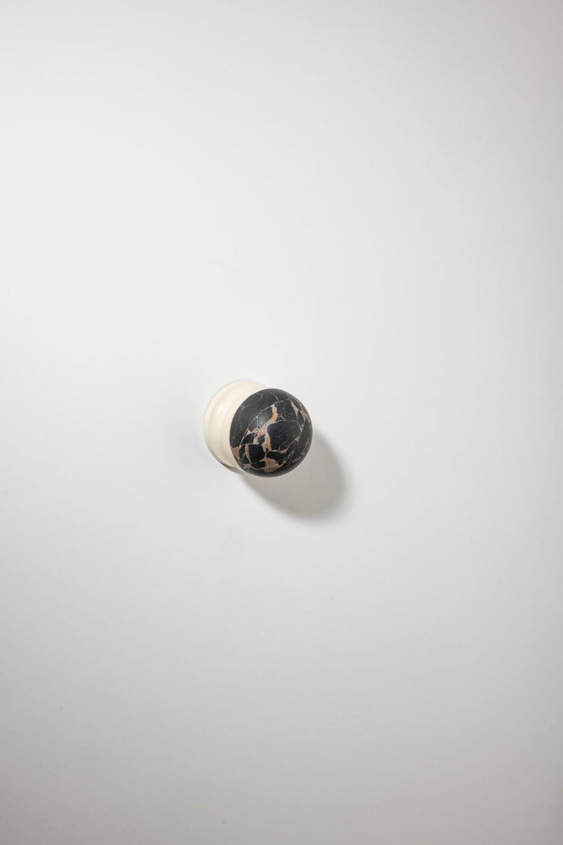 H02 Knob on Rose