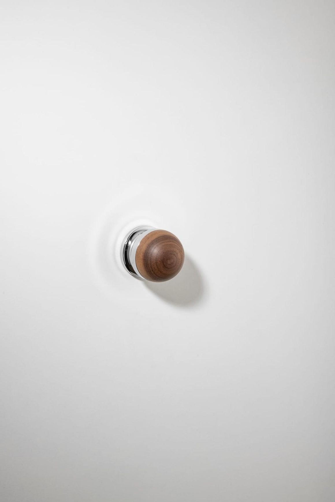 H02 Knob on Rose