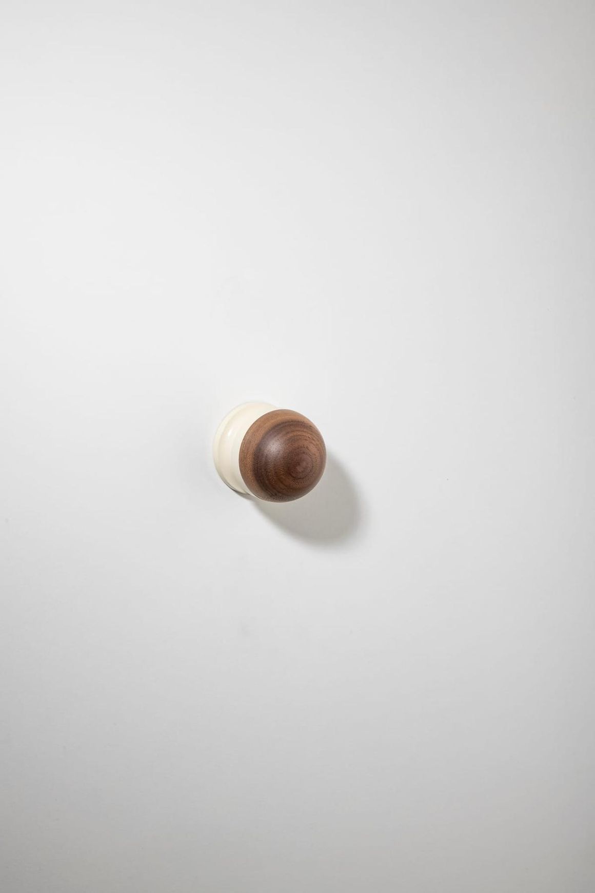 H02 Knob on Rose