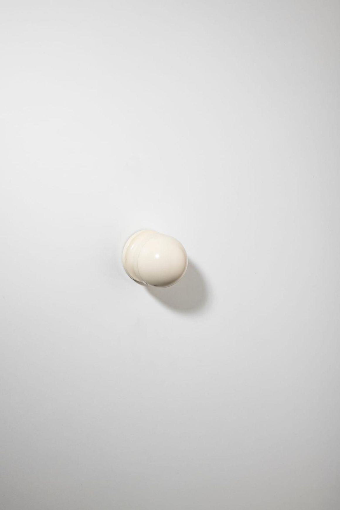 H02 Knob on Rose
