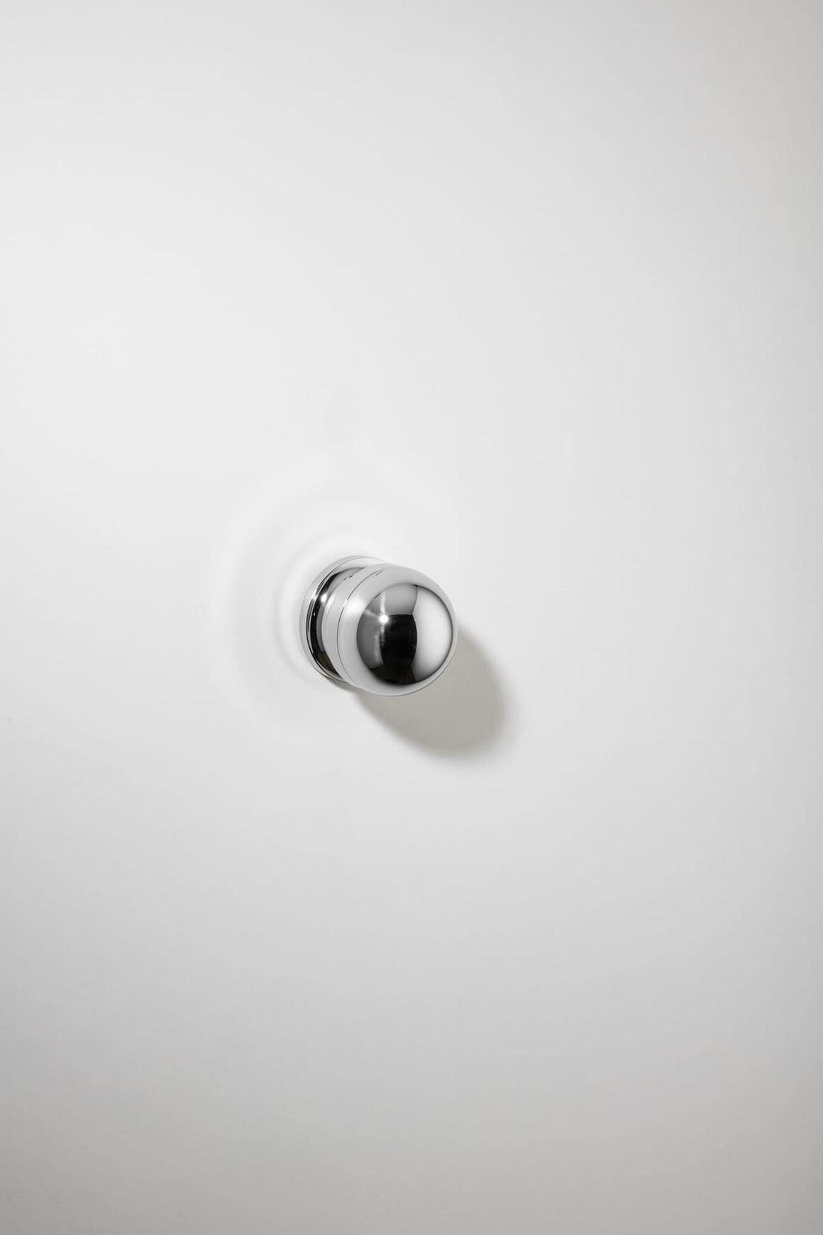 H02 Knob on Rose