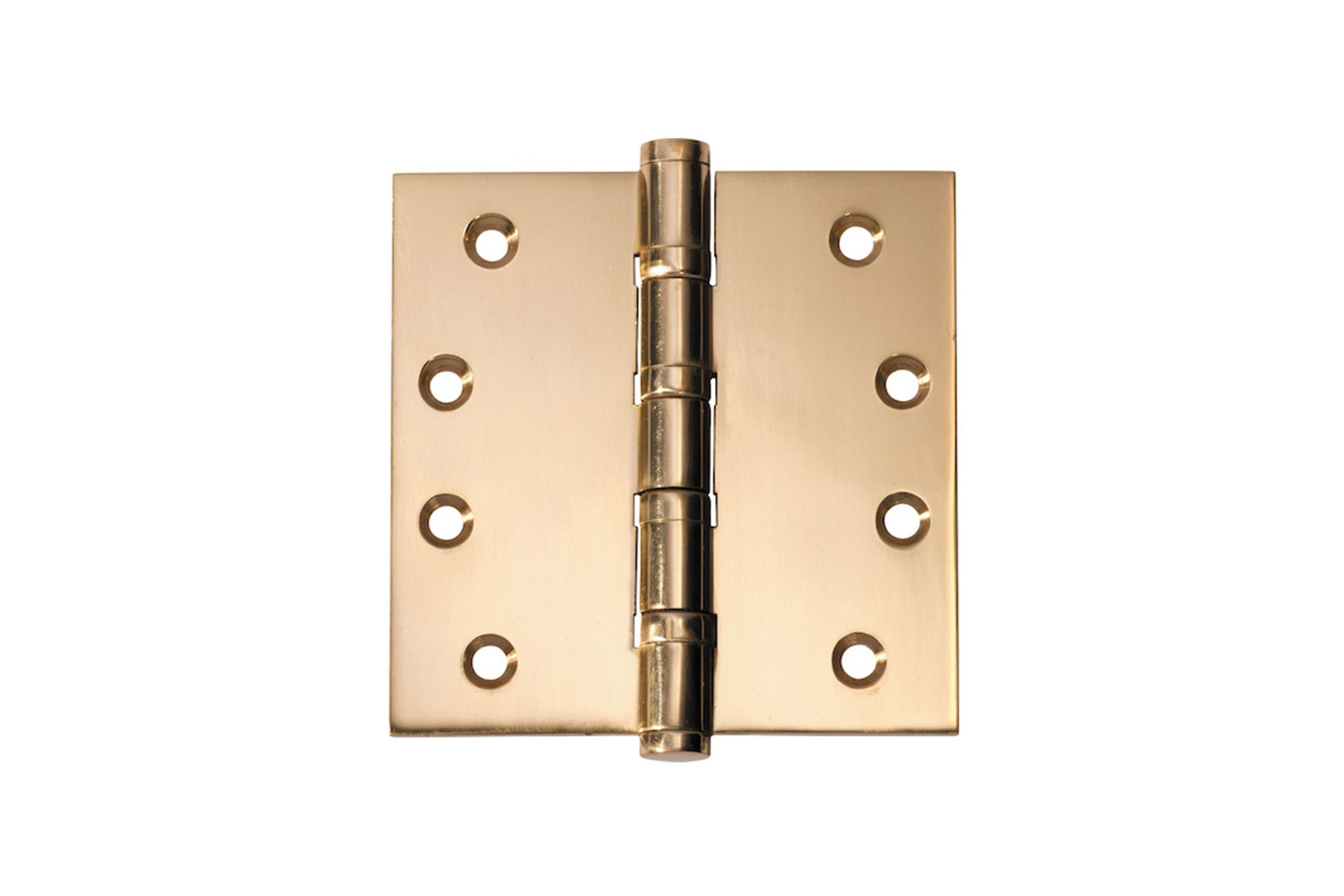 Ball Bearing Door Hinge