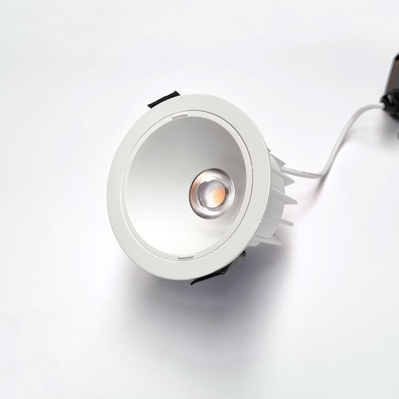 10W IP65 Waterproof Downlight