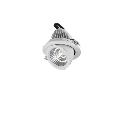 25W Snorkel Swivel Downlight