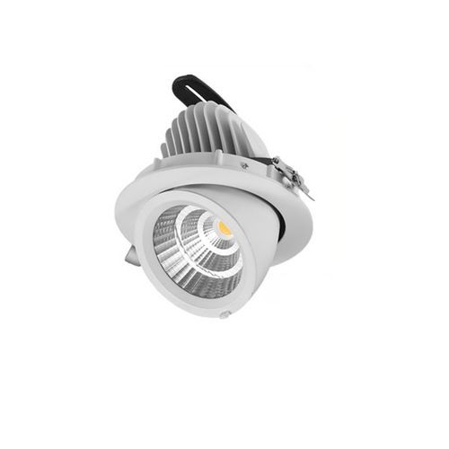 25W Snorkel Swivel Downlight