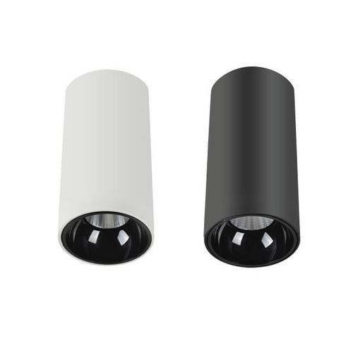 Exterior IP65 Surface Mounted Downlight