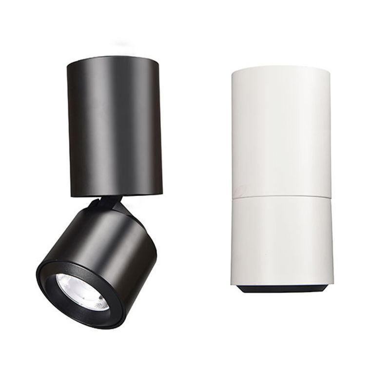 10W Adjustable Surface Mounted Light
