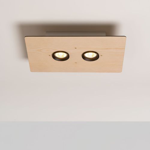 Equal Twin Ceiling Light