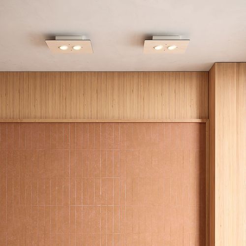 Equal Twin Ceiling Light