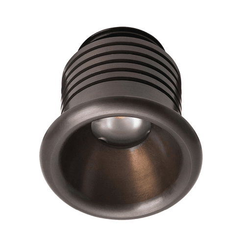Nocturnal Shooting Star Downlight