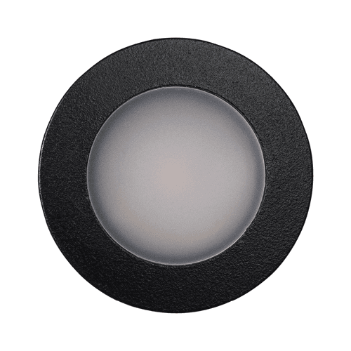 Nocturnal Weebil Downlight