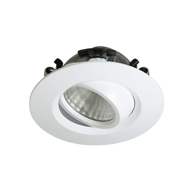 D-LIGHTZ Tilt Downlight