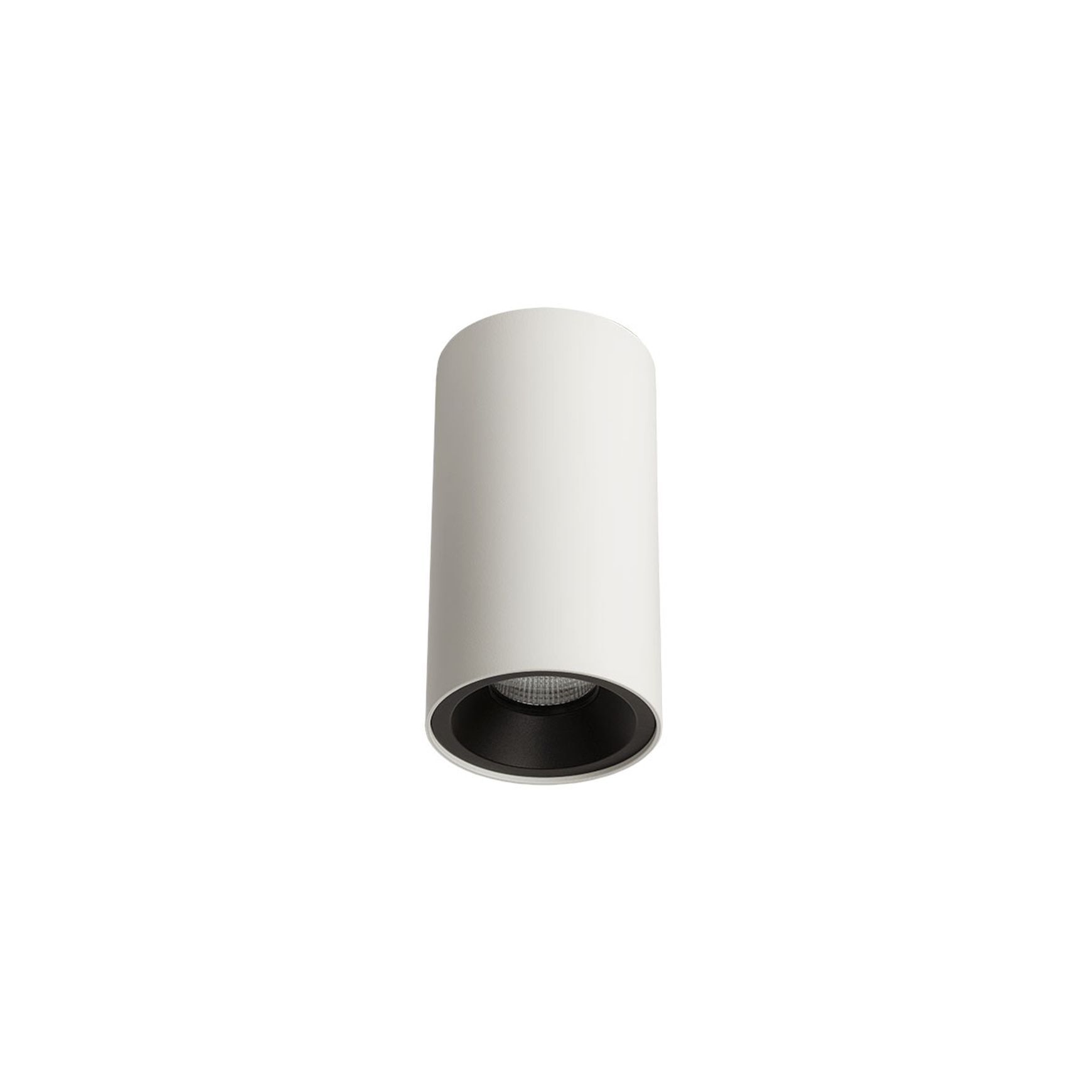 ZELA Décor Surface Mount Fixed 1 Downlight
