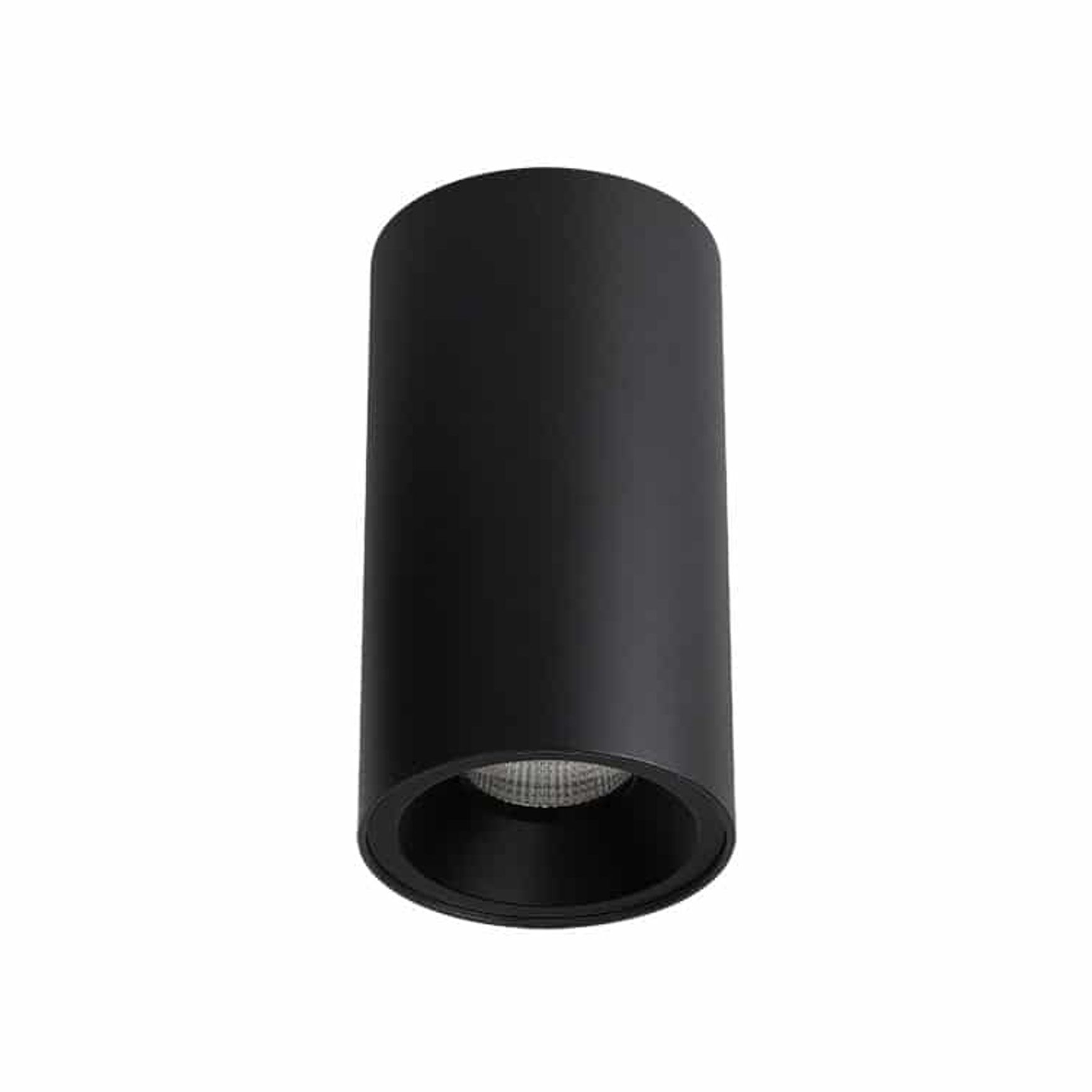 ZELA Décor Surface Mount Fixed 1 Downlight