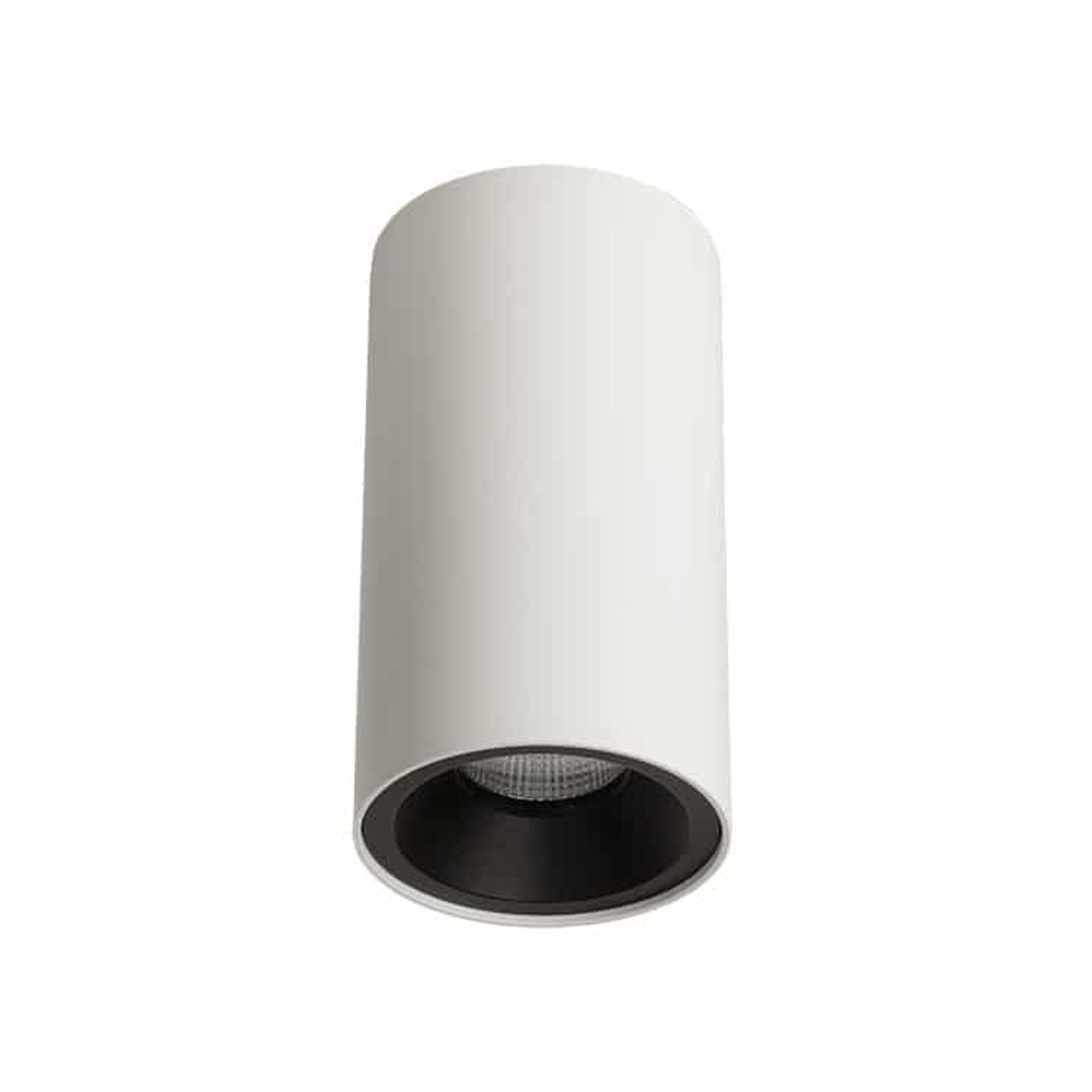 ZELA Décor Surface Mount Fixed 1 Downlight