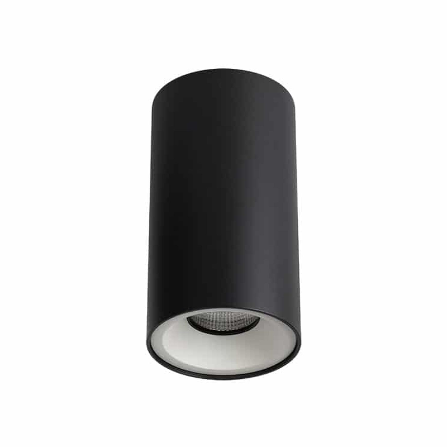 ZELA Décor Surface Mount Fixed 1 Downlight