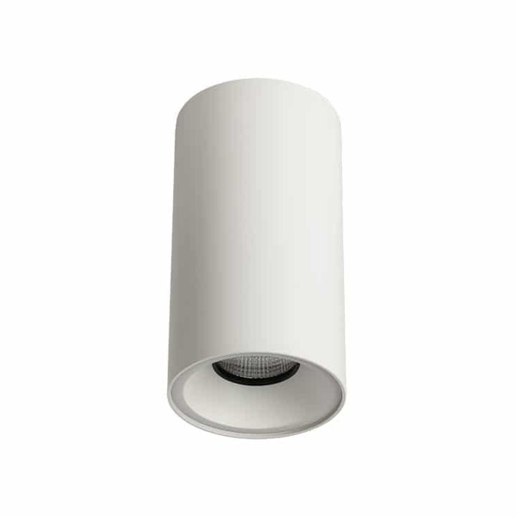 ZELA Décor Surface Mount Fixed 1 Downlight