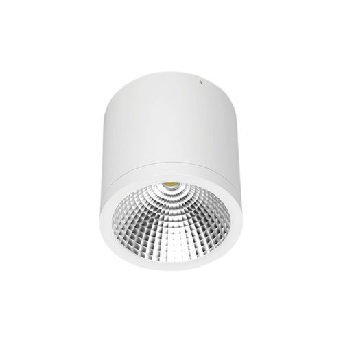 PUKEKOHE DL37 Outdoor Ceiling Light