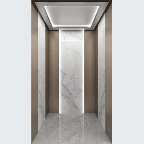 Enclosed Home Lift l E