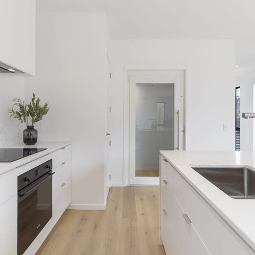 InDomo Residential & Commercial Elevator