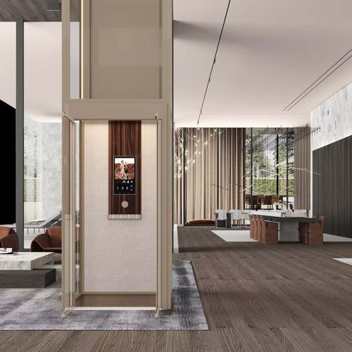 Platform Home Lift l G