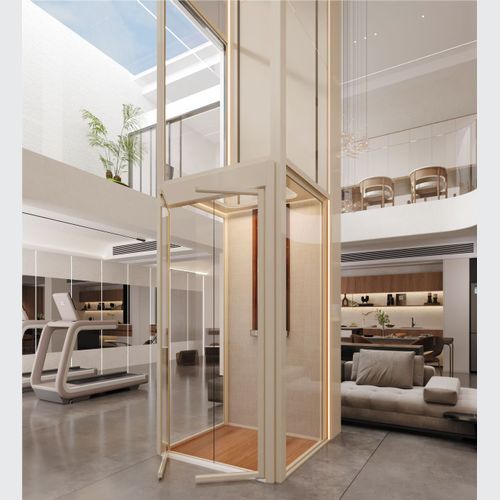 Platform Home Lift l G