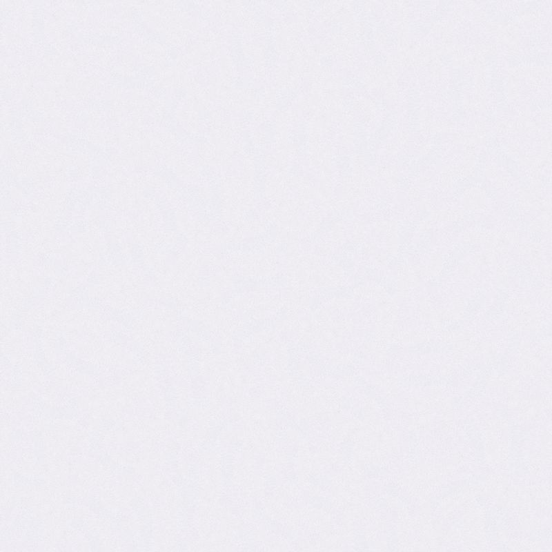 Silestone, Benchtop, White Storm14
