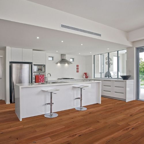 Blue Gum | Australian Native Engineered Timber Flooring