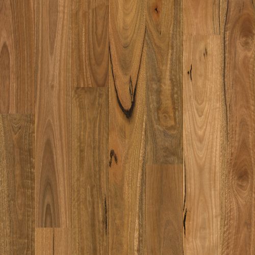 Quick-Step Amato Spotted Gum Timber Flooring