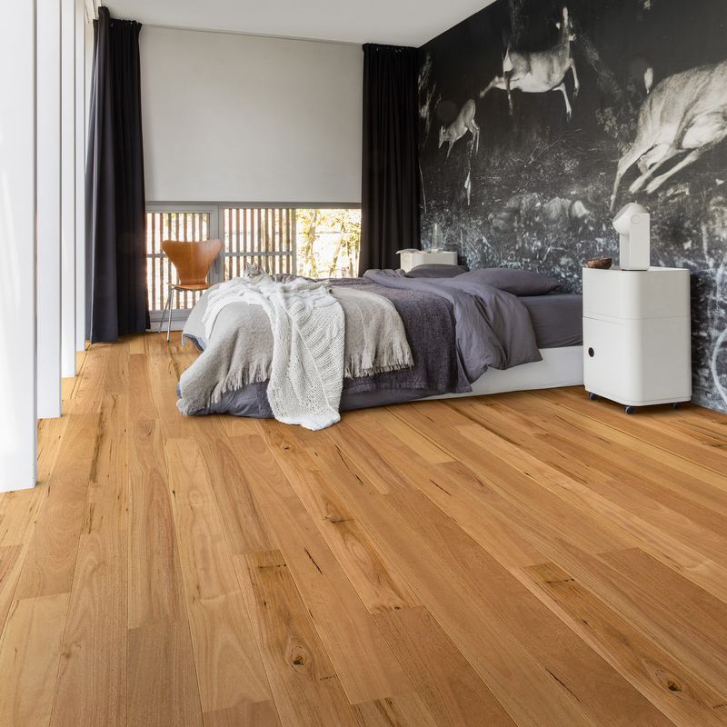 Quick-Step Amato Blackbutt Flooring Timber Flooring