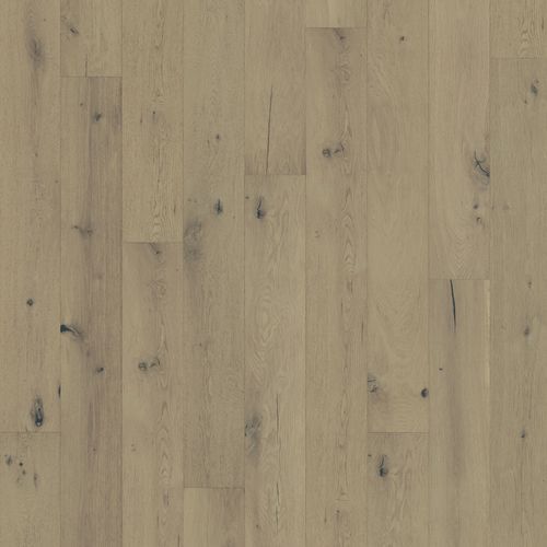 Oak Calm
