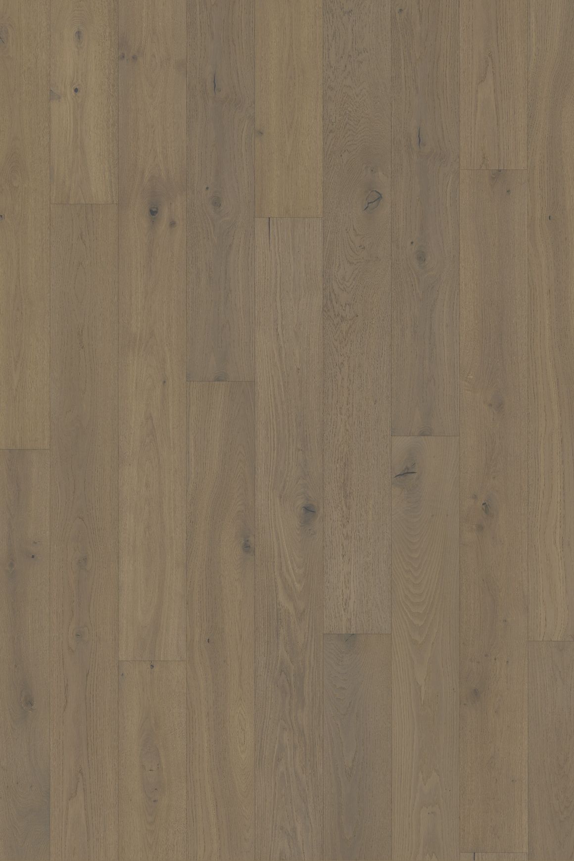 Oak Happiness
