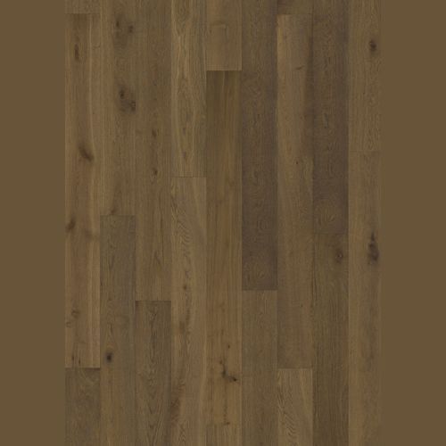 Oak Joy