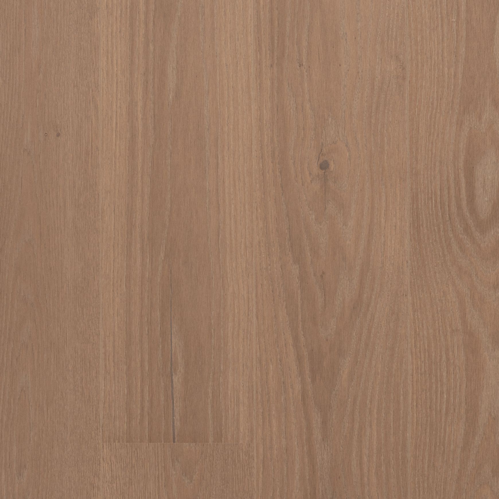 Boen 181 Live Pure Warm Grey | Animoso Grade