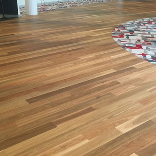 Spotted Gum | First Floors Engineered Timber Flooring